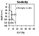 Graph: Sodicity in PVI 1