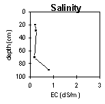 Graph: Salinity in PVI 5