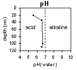 Graph: pH in SFS 15
