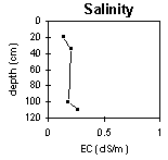 Graph: Salinity n SFS 15