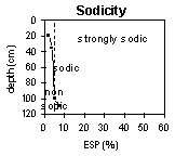 Graph: Sodicity in SFS 15