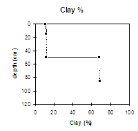 GRAPH: Clay % of Soil Site SW11