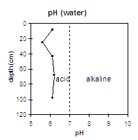 GRAPH: pH of Soil Site SW11
