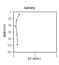 GRAPH: Salinity of Soil site SW11