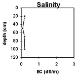 GRAPH: Salinity of Soil Site SW18