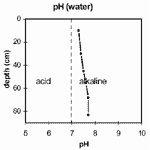 GRAPH: Soil site SW1 pH
