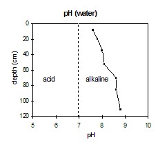 SW2 pH graph