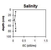 SW43 Salinity