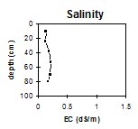 SW47 Salinity