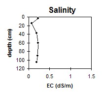 SW48 Salinity