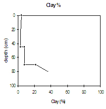 Graph: Clay% in Site SW4
