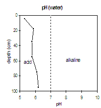 Graph: pH in Site SW4