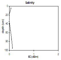 Graph: Salinity in Site SW4