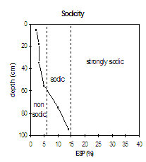 Graph: Sodictiy in Site SW4