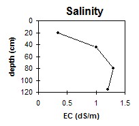 SW50 Salinity