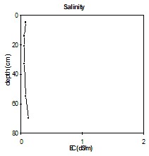 SW7 salinity