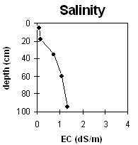 Graph: Salinity levels at Pit Site MP 14