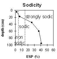 Graph: Sodicity levels for Soil Pit Site MP 14