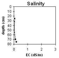 Graph: Salinity levels in Soil Pit Site MP15