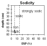 Graph: Sodicity levels in Soil Pit Site MP15