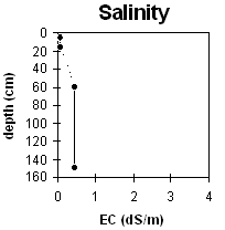 Graph: Salinity levels in Soil Pit MP17