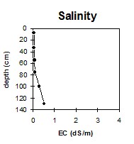 MP20 pH salinity