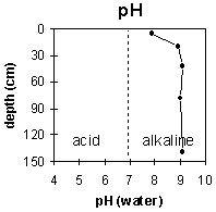Graph: Site MP24 pH levels