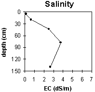 Graph: Site MP24 Salinity levels