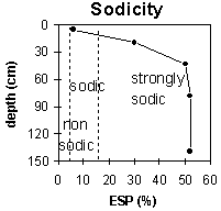 Graph: Site MP24 Sodicity levels