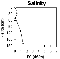 Graph: Site MP26 Salinity levels