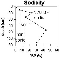 Graph: Site MP26 Sodicity levels