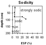 Graph: Sodicity levels in Site MP31