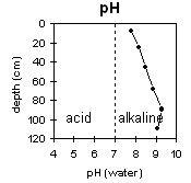 Graph: pH levels in Soil Pit MP3