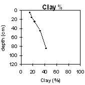 Graph: Clay % in Site MP47
