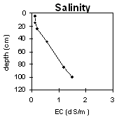 Graph: Salinity levels in Site MP47
