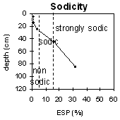 Graph: Sodicity levels in Site MP47