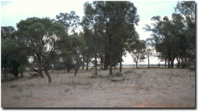 Photo: Soil Pit Site MP5 Landscape