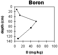Graph: Site ORZC12 Boron levels