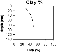 Graph: Site ORZC12 Clay %