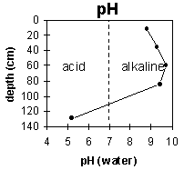 Graph: Site ORZC12 pH levels