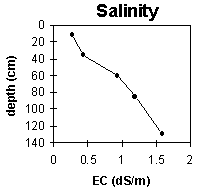 Graph: Site ORZC 12 Salinity