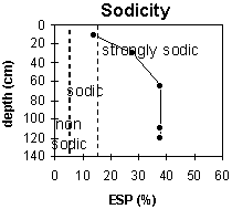 Graph: Site ORZC13 Sodicity Levels