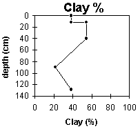 Graph: Site ORZC14 Clay%