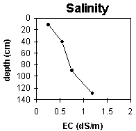 Graph: Site ORZC14 Salinity levels
