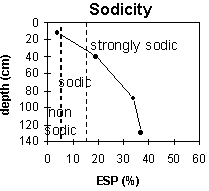 Graph: Site ORZC14 Sodicity levels