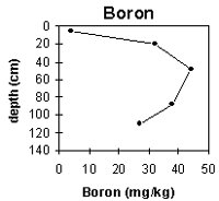 Graph: Site ORZC1 boron levels