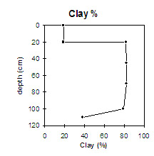 Graph: Clay levels in Site NE40