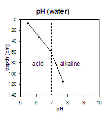 Graph: pH levels in Site NE40