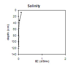 Graph: Salinity levels in Site NE40