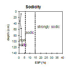Graph: Sodicity levels in Site NE40